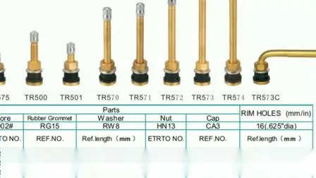 Les pièces du chariot de la tige de soupape de pneu tubeless en laiton pour roue en acier